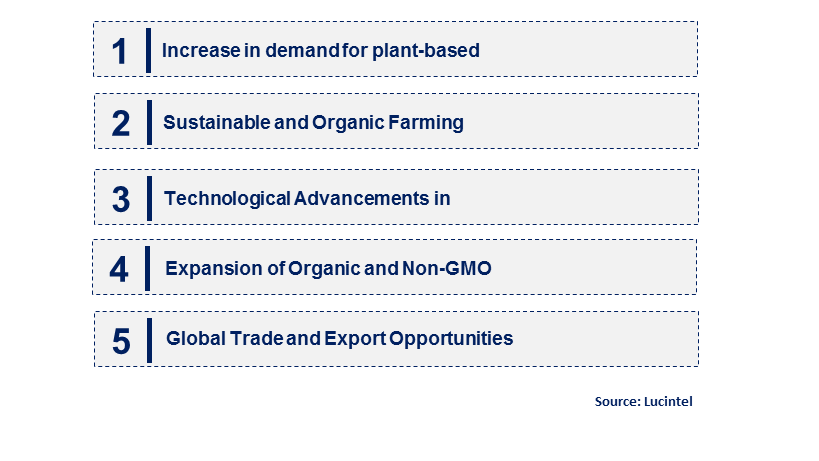 Emerging Trends in the Edible Bean Market