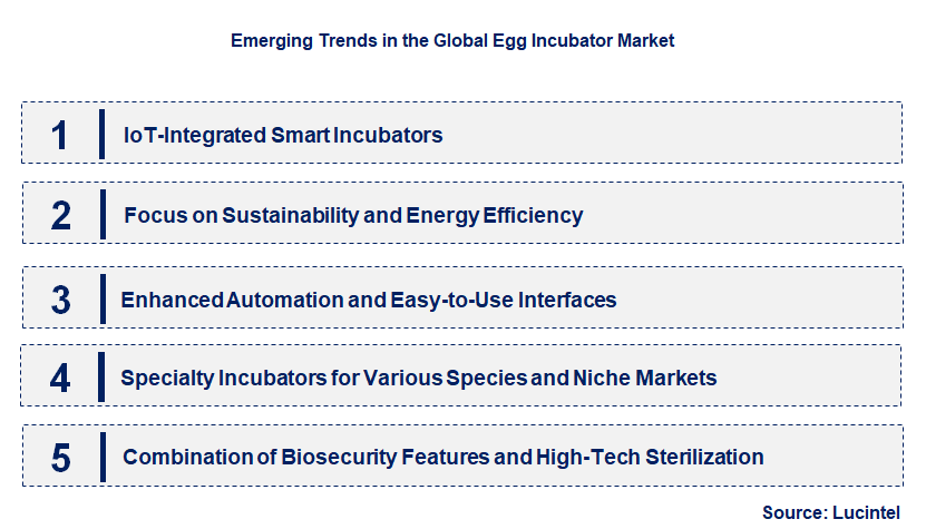 Emerging Trends in the Egg Incubator Market