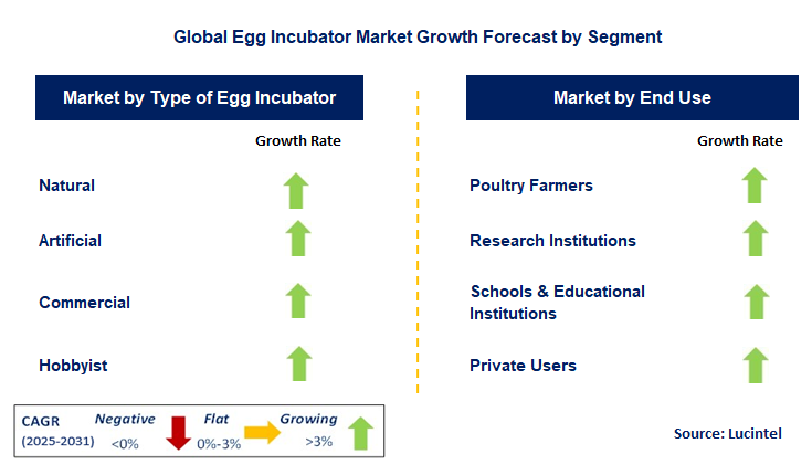 Egg Incubator Market by Segment