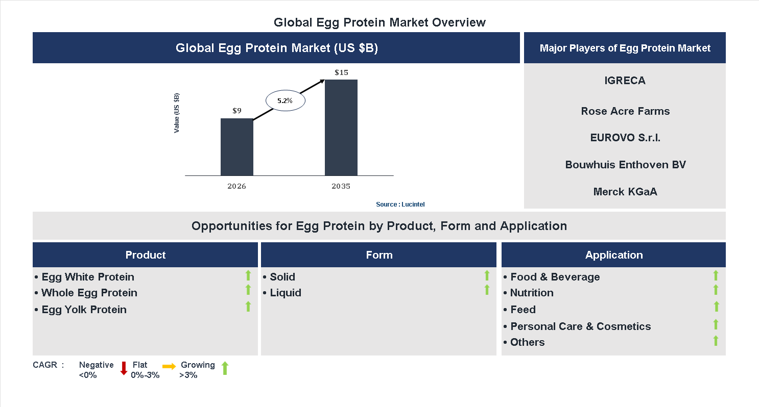 Egg Protein Market Trends and Forecast