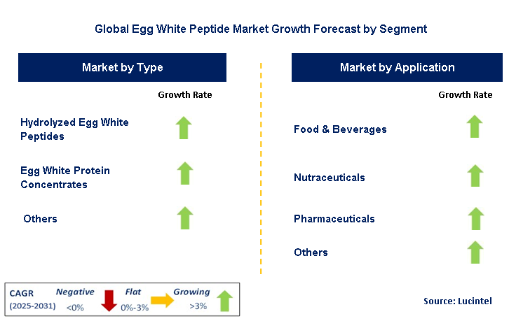 Egg White Peptide Market by Segment