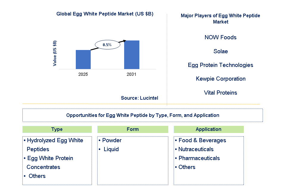 Egg White Peptide Market Trends and Forecast