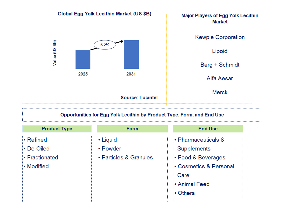 Egg Yolk Lecithin Market Trends and Forecast