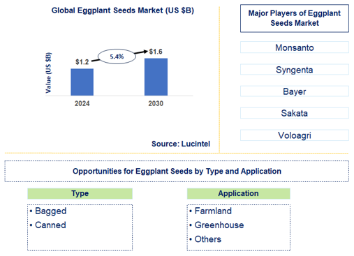 Eggplant Seeds Market Trends and Forecast