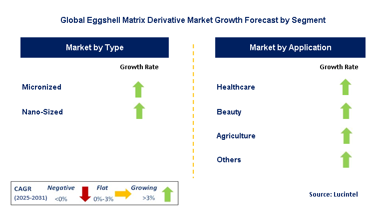 Eggshell Matrix Derivative Market by Segment