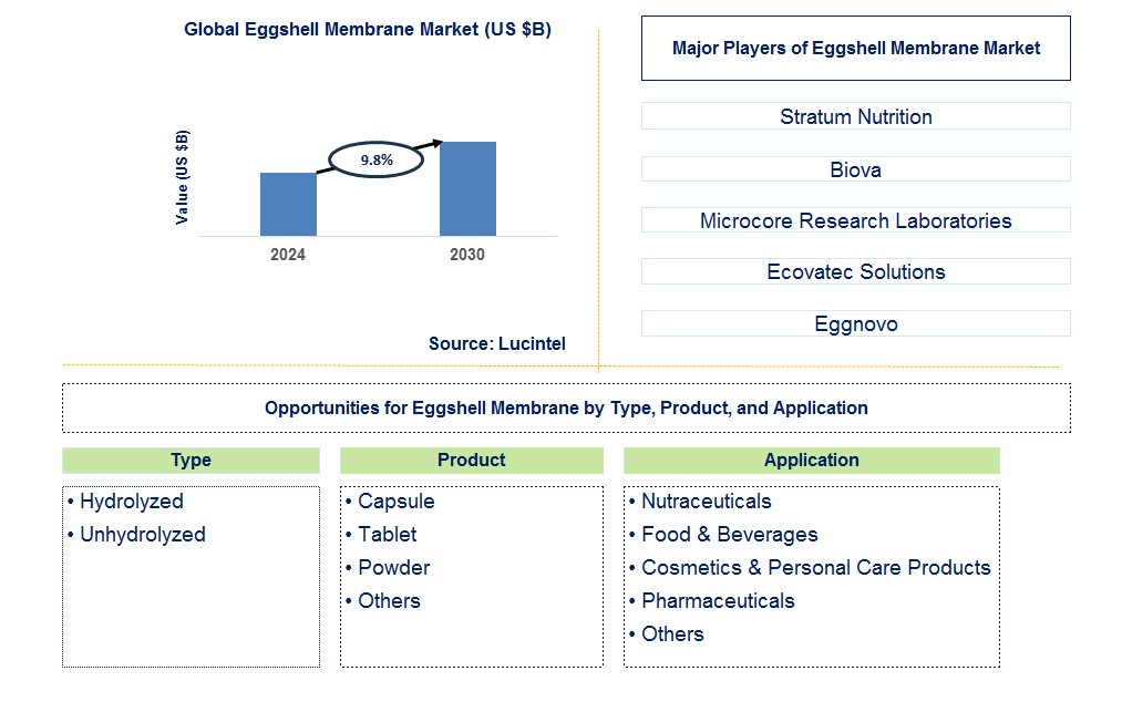 Eggshell Membrane Trends and Forecast