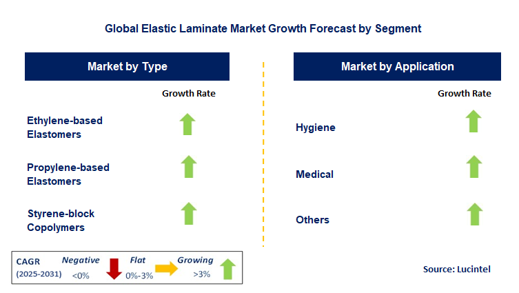 Elastic Laminate Market by Segment