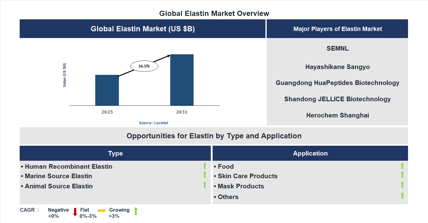 Elastin Market Trends and Forecast