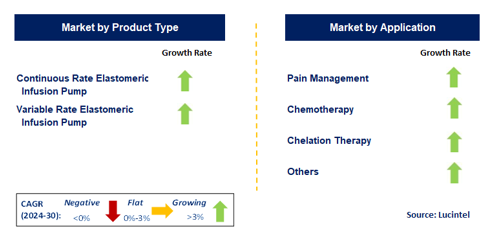 Elastomeric Infusion Pump by Segment