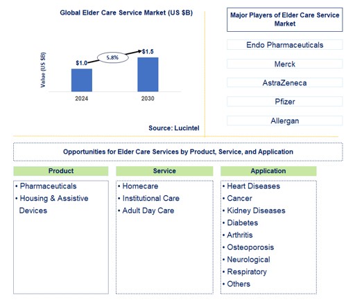 Elder Care Service Trends and Forecast