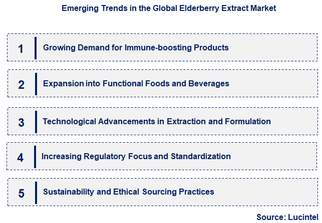 Emerging Trends in the Elderberry Extract Market