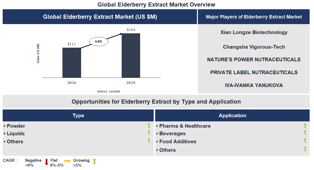 Elderberry Extract Market Trends and Forecast