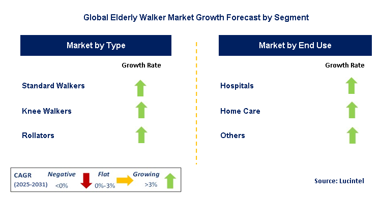 Elderly Walker Market by Segment