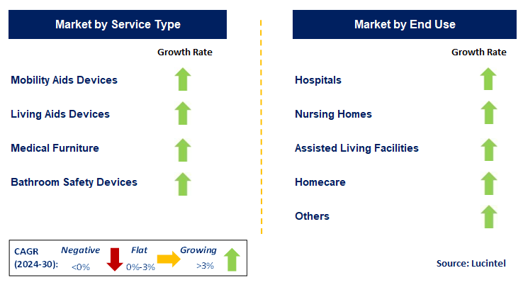 Elderly and Disabled Assistive Devices by Segment