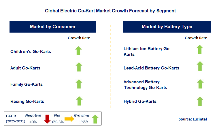 Electric Go-Kart Market by Segment