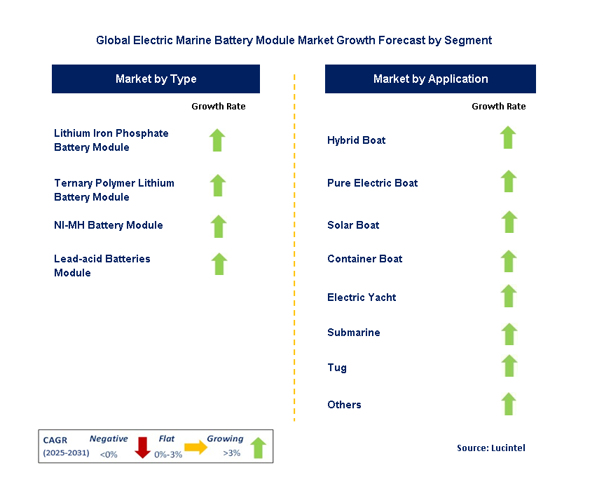 Electric Marine Battery Module Market by Segment