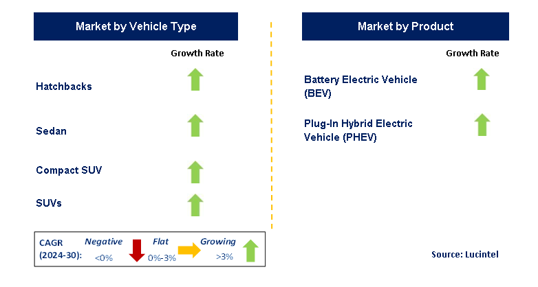 Electric Passenger Car by Segment