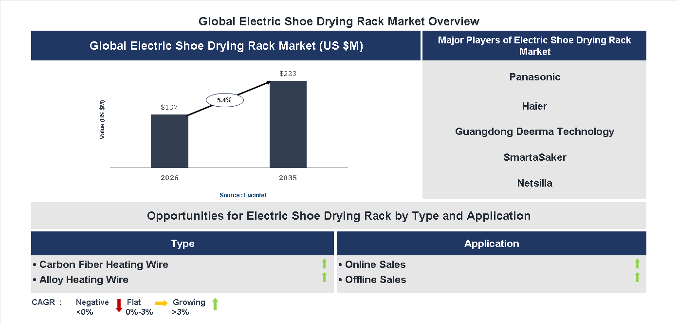 Electric Shoe Drying Rack Market Trends and Forecast