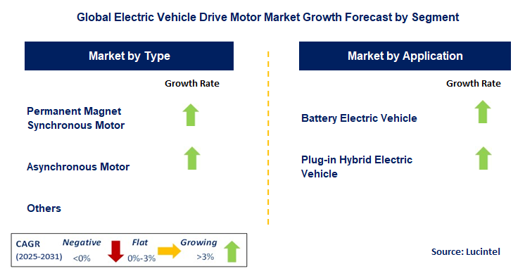 Electric Vehicle Drive Motor Market by Segment