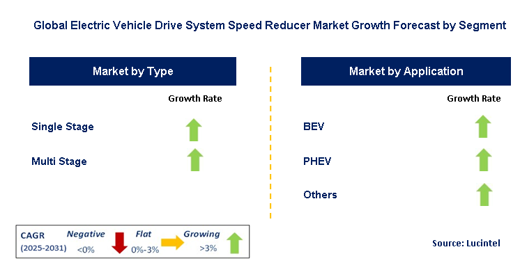 Electric Vehicle Drive System Speed Reducer Market by Segment