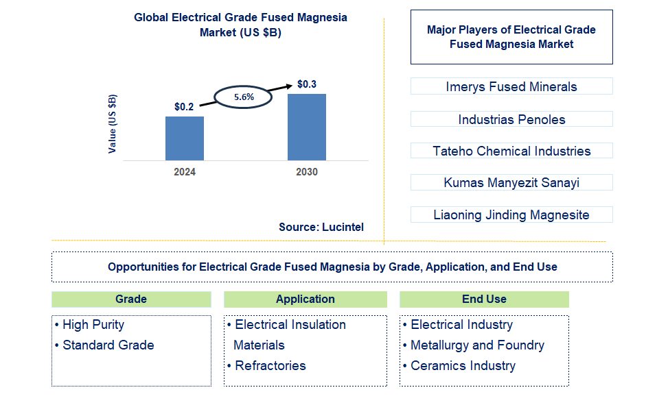 Electrical Grade Fused Magnesia Trends and Forecast