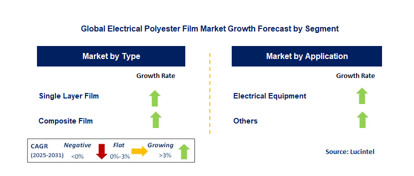 Electrical Polyester Film Market by Segment