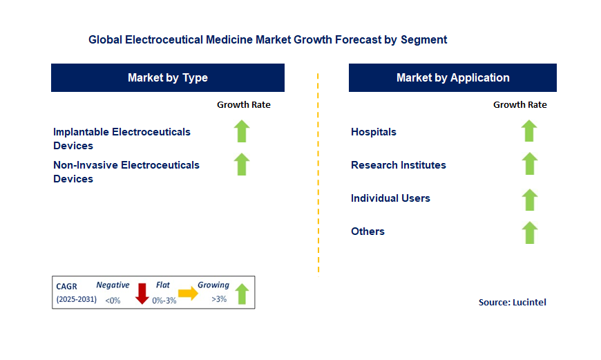 Electroceutical Medicine Market by Segment