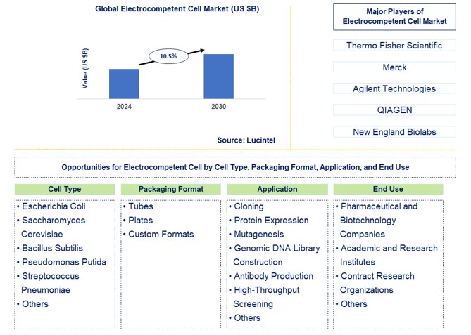 Electrocompetent Cell Trends and Forecast