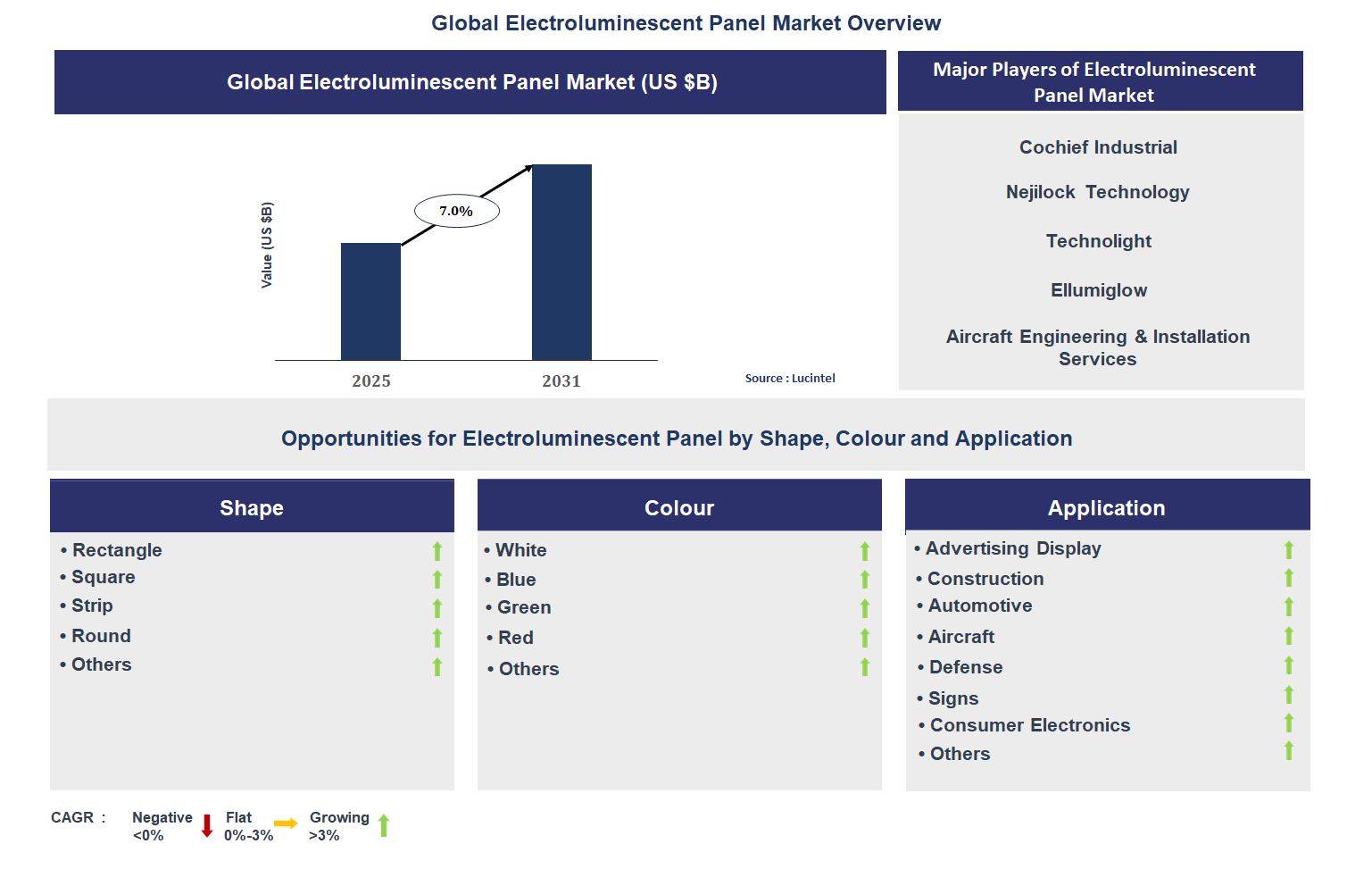 Electroluminescent Panel Market Trends and Forecast