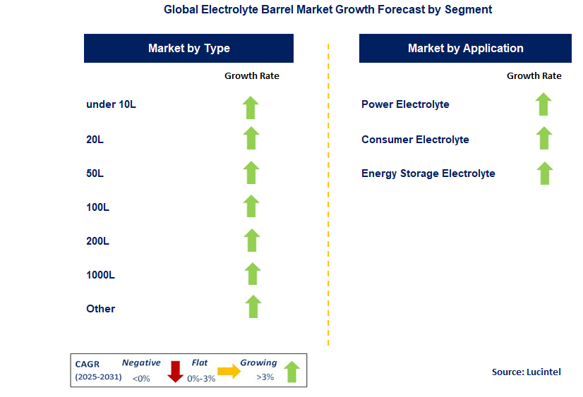 Electrolyte Barrel Market by Segment