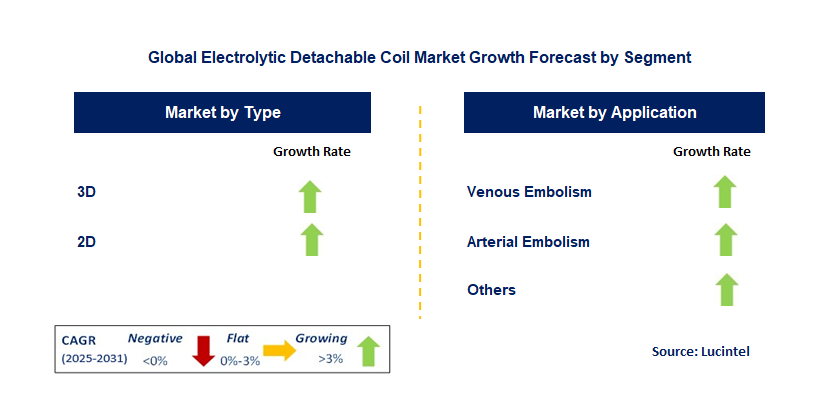 Electrolytic Detachable Coil Market by Segment