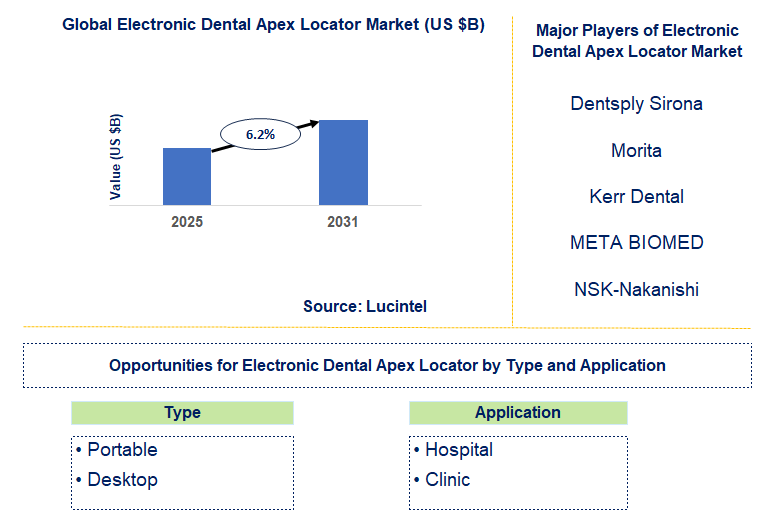 Electronic Dental Apex Locator Market Trends and Forecast
