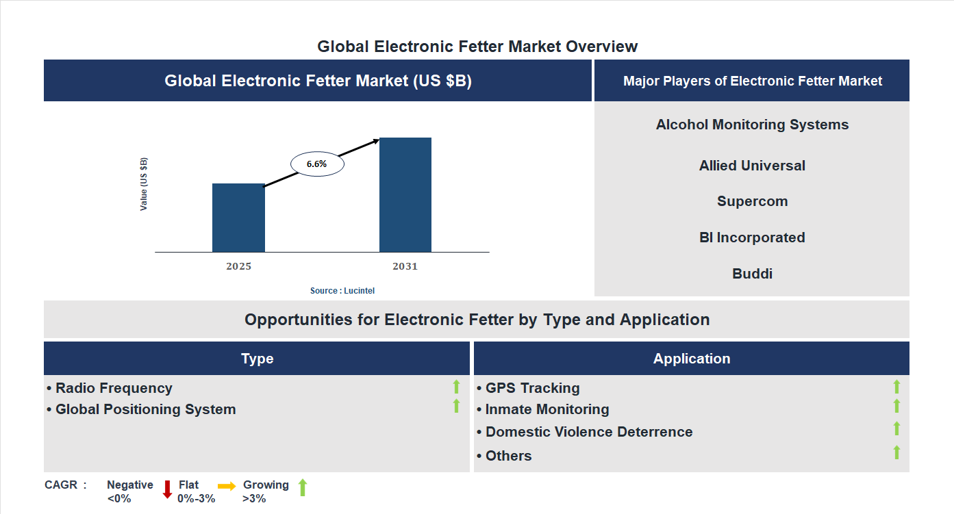 Electronic Fetter Market Trends and Forecast