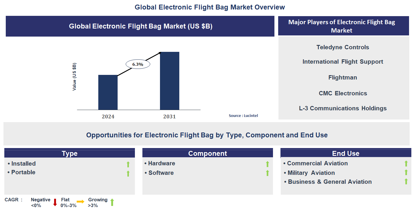 Electronic Flight Bag Market Trends and Forecast