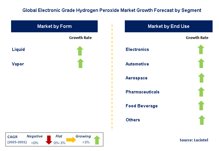 Electronic Grade Hydrogen Peroxide Market by Segment