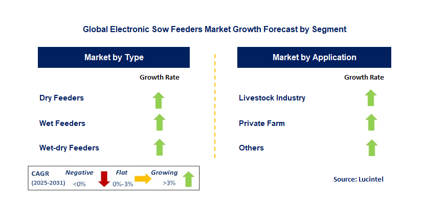 Electronic Sow Feeders Market by Segment