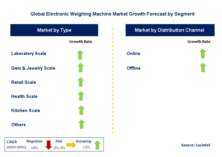 Electronic Weighing Machine Market by Segment