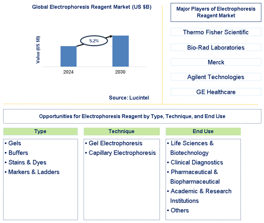 Electrophoresis Reagent Trends and Forecast