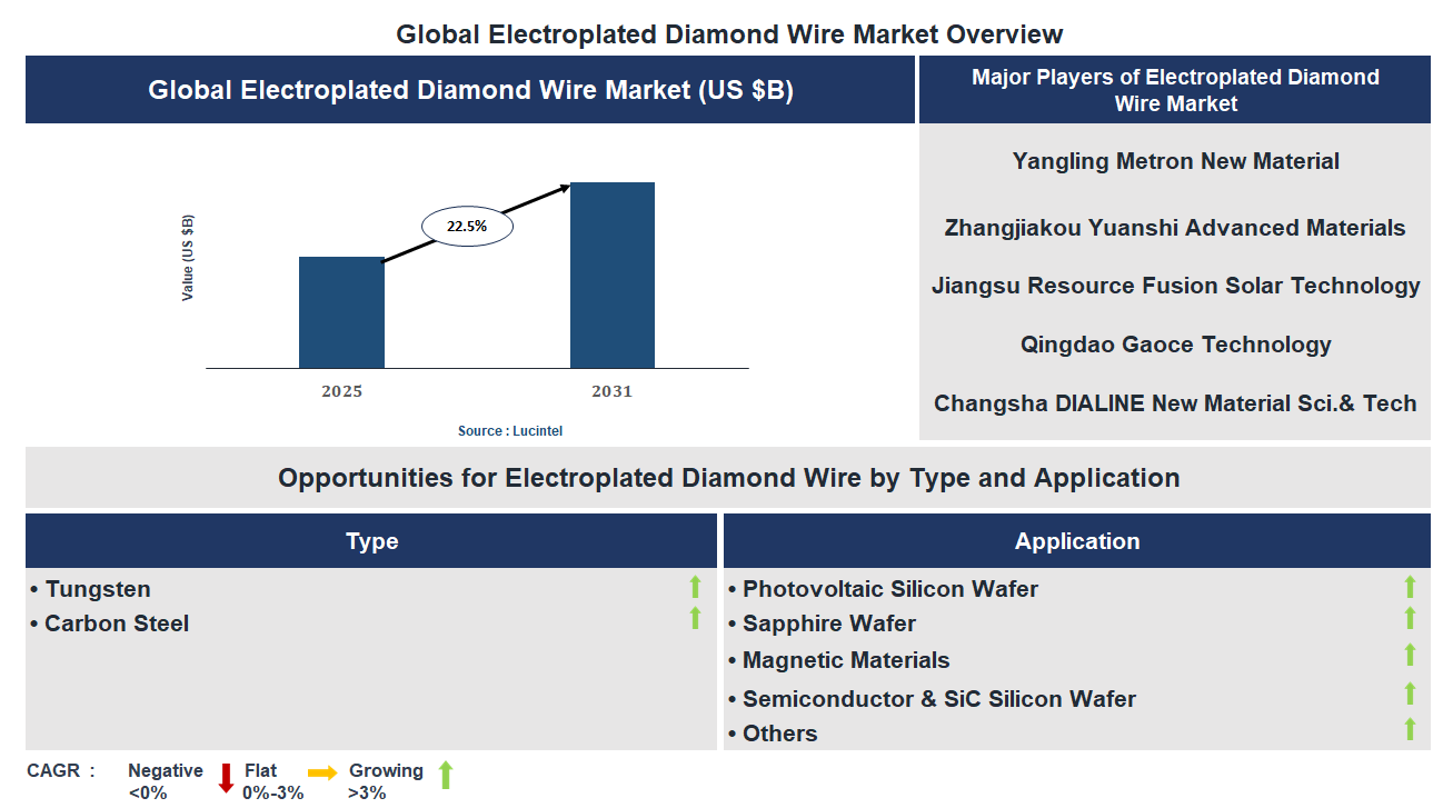 Electroplated Diamond Wire Market Trends and Forecast