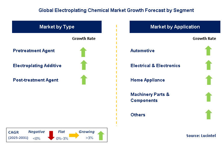 Electroplating Chemical Market by Segment