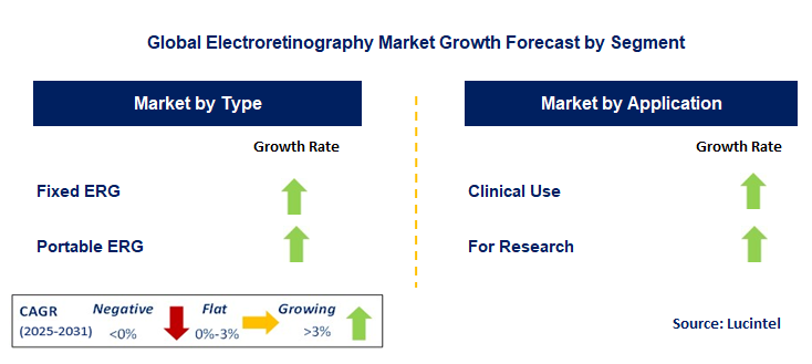 Electroretinography Market by Segment