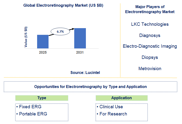 Electroretinography Market Trends and Forecast