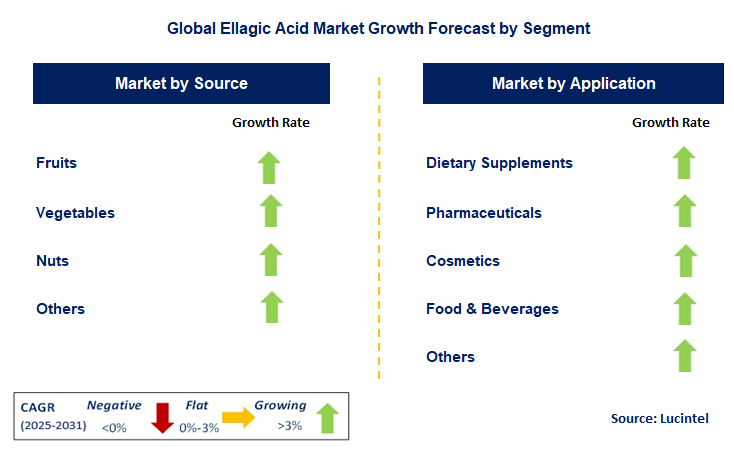 Ellagic Acid Market by Segment