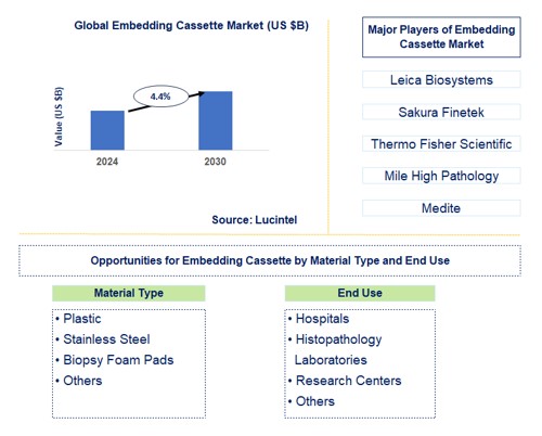 Embedding Cassette Trends and Forecast