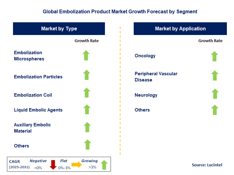 Embolization Product Market by Segment