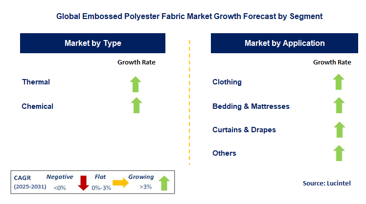 Embossed Polyester Fabric Market by Segment