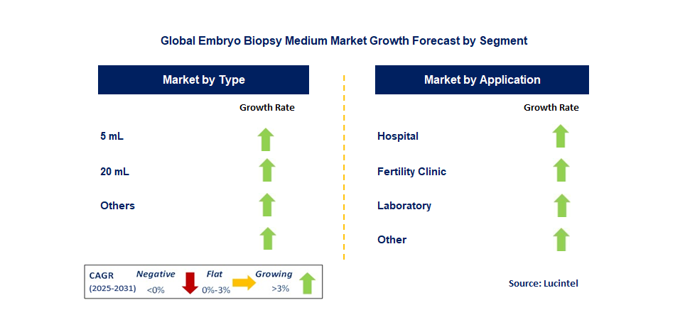 Embryo Biopsy Medium Market by Segment