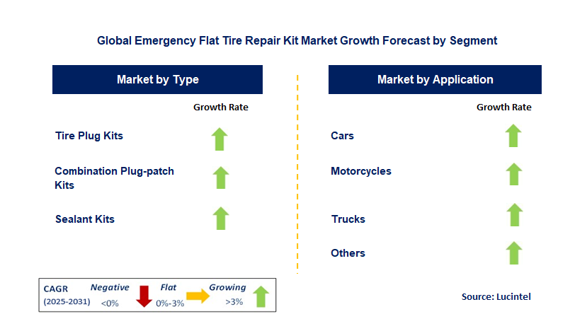 Emergency Flat Tire Repair Kit Market by Segment