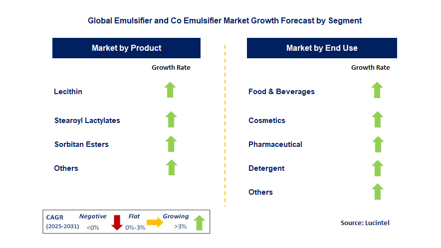 Emulsifier and Co Emulsifier Market by Segment