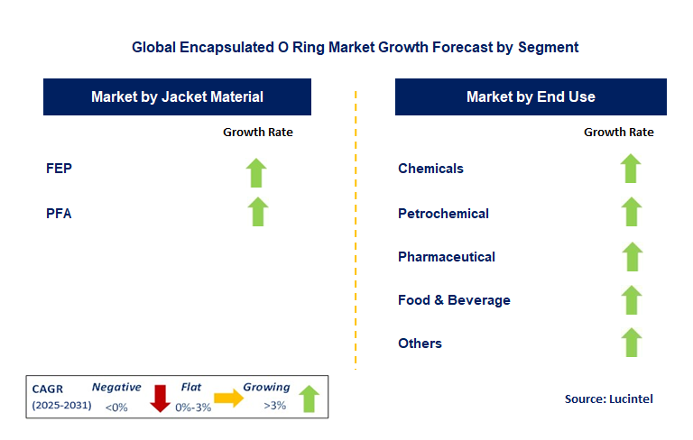 Encapsulated O Ring Market by Segment